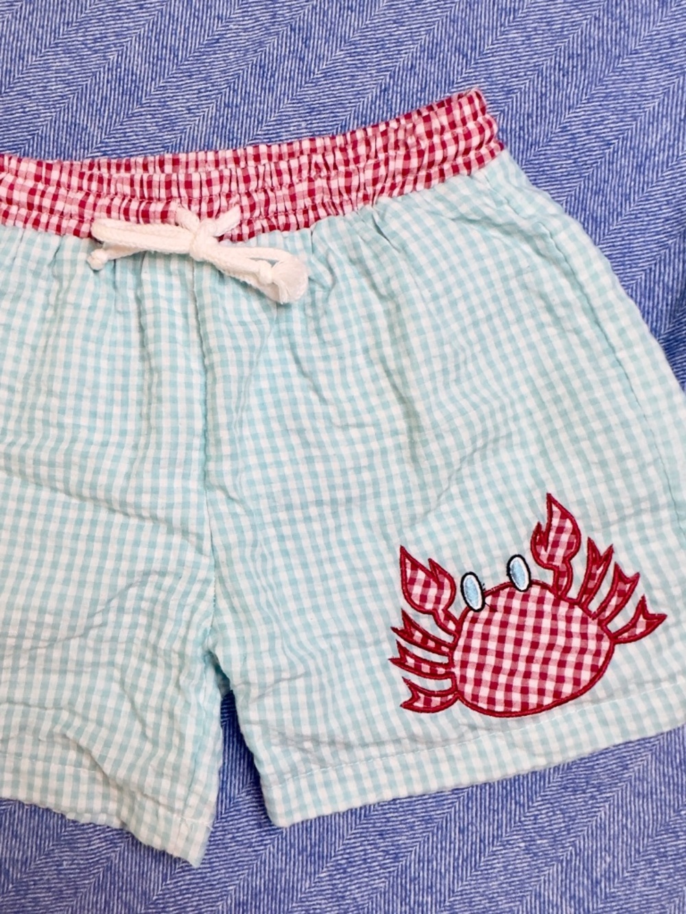 Classic Whimsy Teal Gingham Crab Appliqué Swim Trunks Size 6 Boys